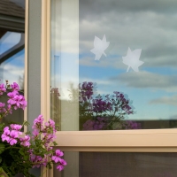 Window Alert for Birds - Maple Leaf