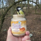 C Webster demonstrates how much birds love Flutter Butter
