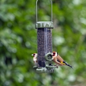 Ring Pull Click Goldfinches