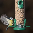 Ring Pull Seed Feeder being enjoyed in the garden