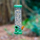 Robin feeding from FLO seed feeder