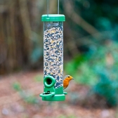 Robin feeding from FLO seed feeder