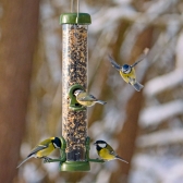 Ring Pull Click Seed Feeder
