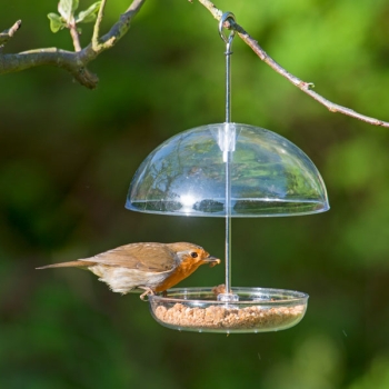 Robin enjoying food from the adjustable feeder