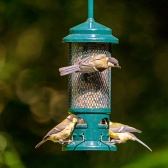 Squirrel Buster Seed Feeder
