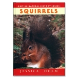 Squirrels by Jessica Holme