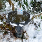 Ice Free keeps water liquid down to -4C