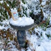 Ice Free will keep bird baths liquid during snow