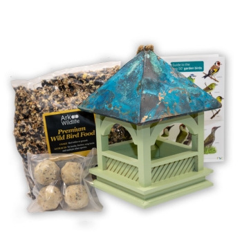 Bempton Bird Table Pack including foods