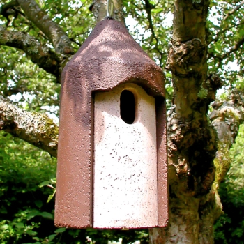 Schwegler Oval Bird Nest Box