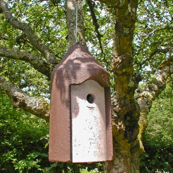 Schwegler 2M 26mm Bird Nest Box