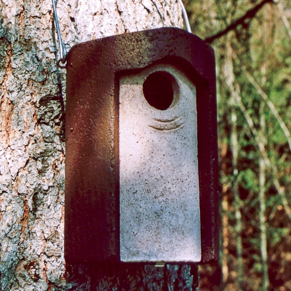 Schwegler 3S Starling Nest Box