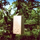 Schwegler Hardwood Insect Block
