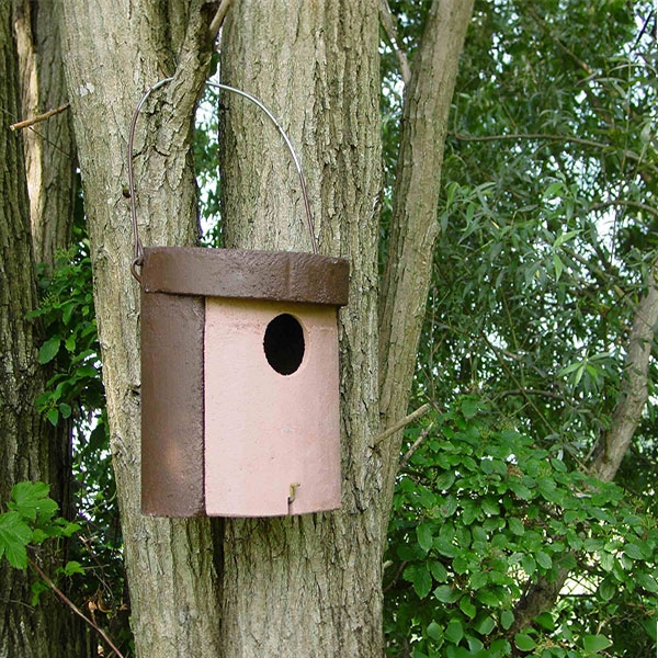 Schwegler 1CGA nest box