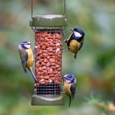 Attract more birds with high quality peanuts