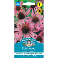 Echinacea Large Flowered