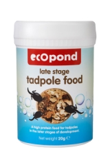 Tadpole Food - when they grow legs
