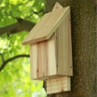 Natural Timber Bat Box fixed to tree