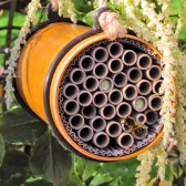 Eco Bee Nester leafcutter bees