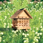 Solitary bee house in the garden