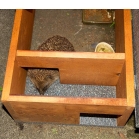 Hedgehogs happily access through the predator proof entrances Hedgehog Feeding Station