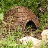 Dome Hedgehog House in garden