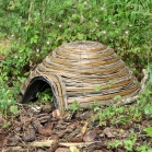 Dome Hedgehog House & Feeder