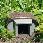 Wildlife World Hedgehog Haus House