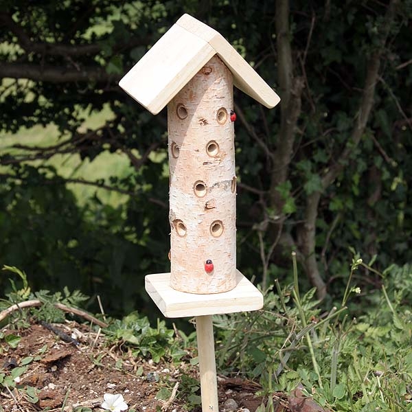 Siting a Ladybird/Beneficial Insect Tower with Pole