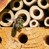 Leafcutter Bee House