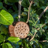 Nooks & Crannies Beneficial Insect Log