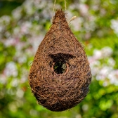 Giant Bird Roost Nesting Pocket