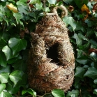 Roosting Nest Pouches