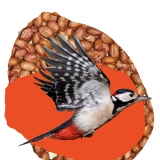Peanuts for Birds