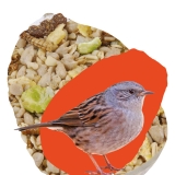Seasonal Bird Food